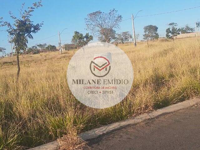 #57 - Área para Venda em Catalão - GO - 1
