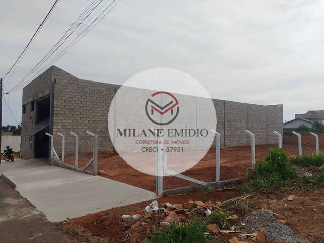 Galpão para Locação em Catalão - 4