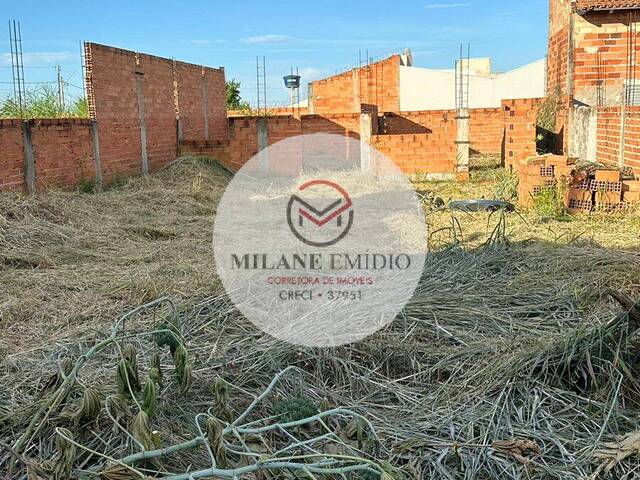 Terreno para Venda em Catalão - 4