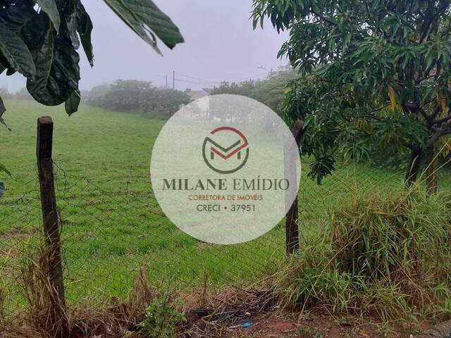 Área para Venda em Catalão - 5
