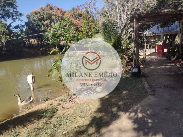 #457 - Chácara para Venda em Catalão - GO - 3