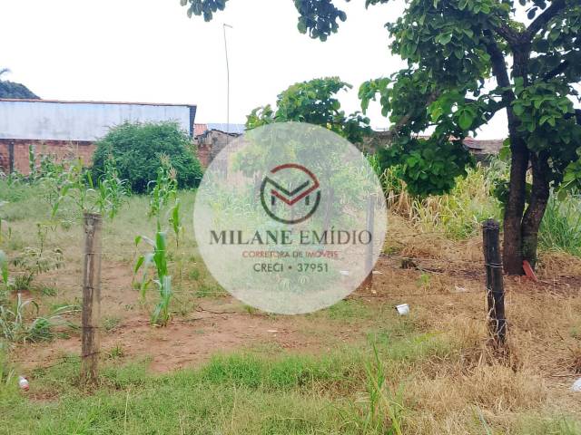 #486 - Área para Venda em Catalão - GO - 3