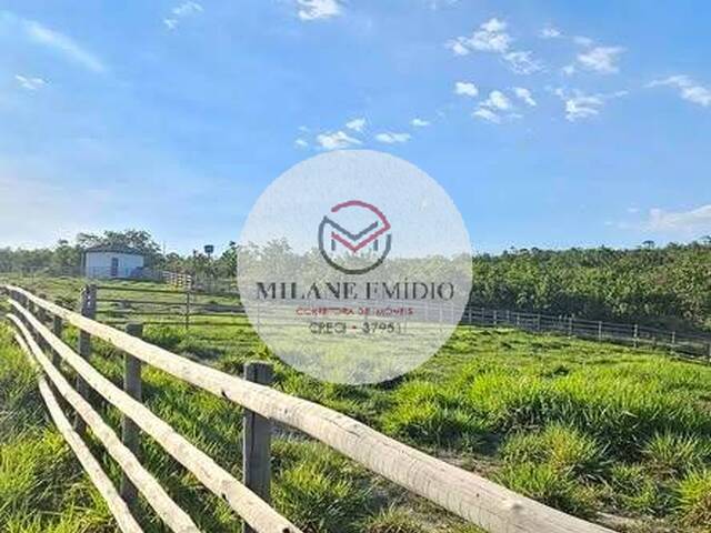 #496 - Chácara para Venda em Catalão - GO - 3