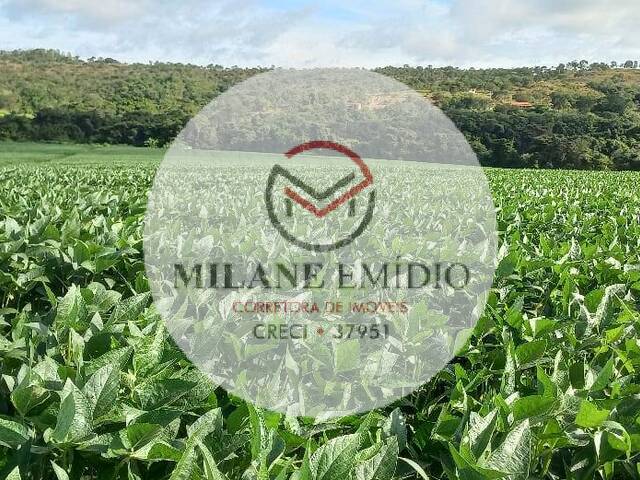 #526 - Chácara para Venda em Catalão - GO - 2
